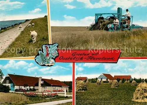 AK / Ansichtskarte Flevoland Oostelijk Maehdrescher Schafherde Getreidegarben Flevoland