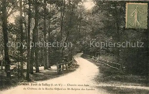 Teillay Foret Chemin sous bois Teillay