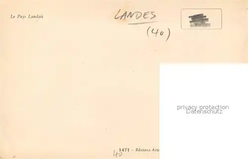 Landes_Departement Paturages des moutons 