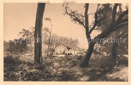 Landes_Departement Les Landes de Gascogne une ferme 