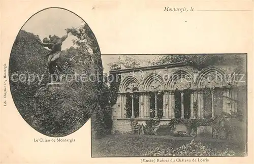 Montargis_Loiret Monument Le Chien de Montargis Musee Ruines du Chateau de Lorris Montargis Loiret