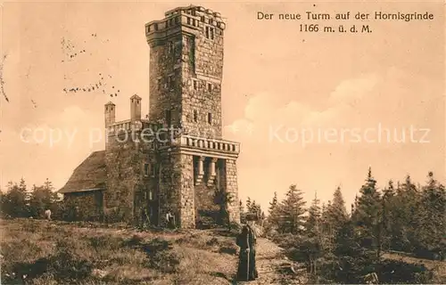 AK / Ansichtskarte Hornisgrinde Neuer Turm Hornisgrinde