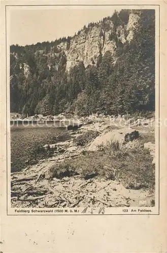 AK / Ansichtskarte Feldberg_Schwarzwald Am Feldsee Feldberg Schwarzwald
