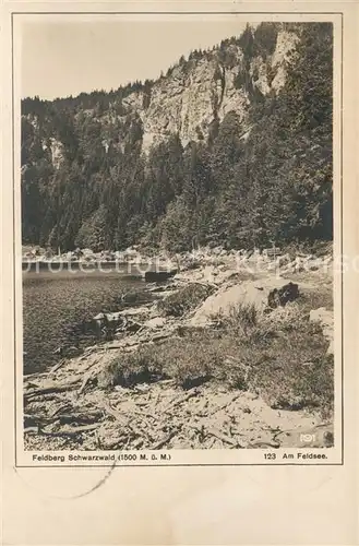 AK / Ansichtskarte Feldberg_Schwarzwald Feldsee Feldberg Schwarzwald