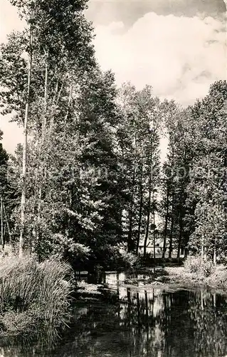 AK / Ansichtskarte Gy les Nonains Vue sur l Ouanne Gy les Nonains