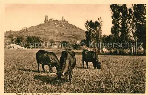 Saint Gereon Les Tours Saint Laurent des vaches aux paturages Saint Gereon