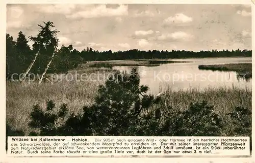 Kaltenbronn_Gernsbach Wildsee Kaltenbronn Gernsbach