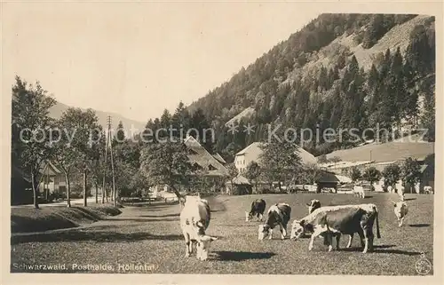 Posthalde_Breitnau Kuhweide Panorama Posthalde_Breitnau