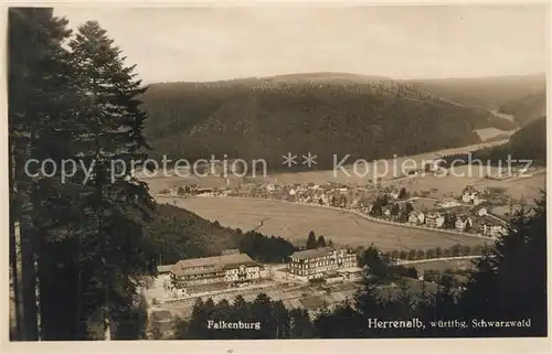 Herrenalb_Schwarzwald Falkenburg Panorama 