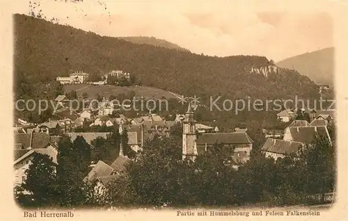 Bad_Herrenalb Hummelsburg Felsen Falkenstein Bad_Herrenalb