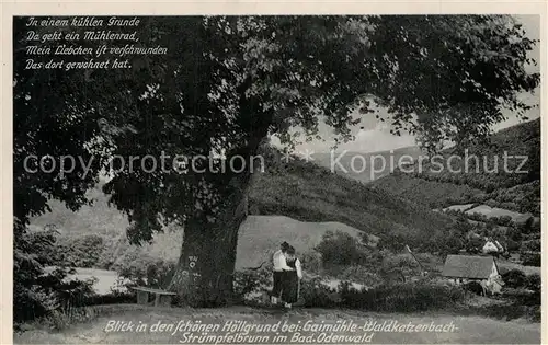 Waldkatzenbach Hoelltal Wanderer Gedicht Waldkatzenbach