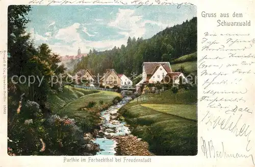 Freudenstadt Forbachtal Panorama Freudenstadt