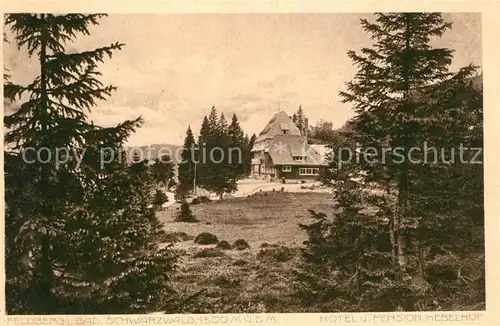Feldberg_Schwarzwald Hotel Pension Hebelhof Feldberg Schwarzwald