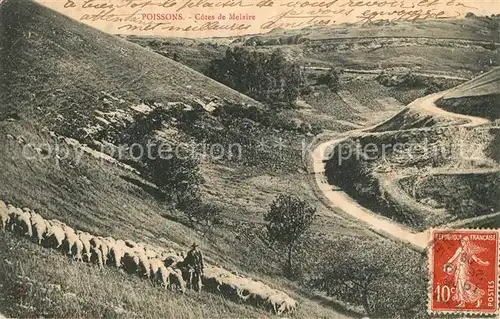 AK / Ansichtskarte Poissons Cotes de Melaire Poissons