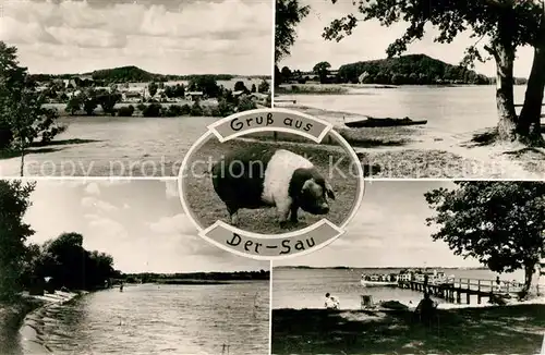 AK / Ansichtskarte Ploen_See Gruss aus der Sau Panoramen Ploen_See
