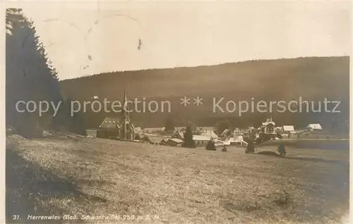 AK / Ansichtskarte Herrenalb_Bad Panorama Herrenalb_Bad