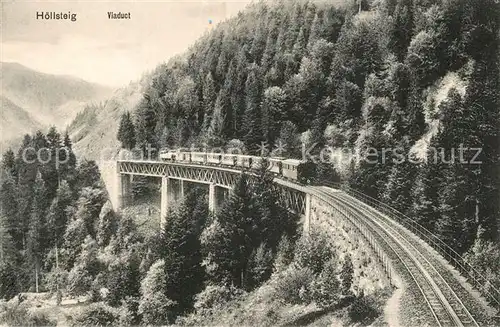 AK / Ansichtskarte Hoellsteig Viadukt Eisenbahn Hoellsteig