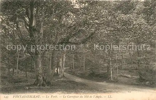 AK / Ansichtskarte Fontainebleau_Seine_et_Marne La Foret Le Carrefour du Nid de l Aigle Fontainebleau_Seine