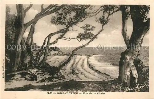 AK / Ansichtskarte Ile_de_Noirmoutier Bois de la Chaize Ile_de_Noirmoutier