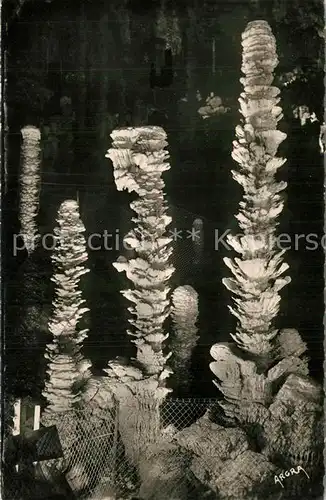 AK / Ansichtskarte Aven_Armand Entree de la foret vierge Aven Armand