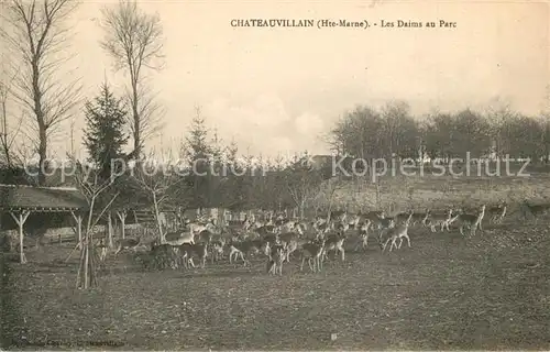 AK / Ansichtskarte Chateauvillain Les Daims au Parc Chateauvillain