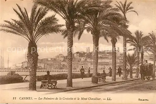 AK / Ansichtskarte Cannes_Alpes Maritimes Les Palmiers de la Croisette Mont Chevalier Cannes Alpes Maritimes