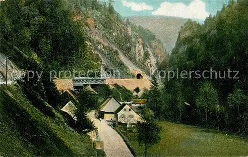 AK / Ansichtskarte Baden_Wuerttemberg Falkensteig Baden Wuerttemberg