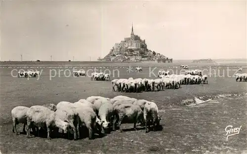 AK / Ansichtskarte Le_Mont Saint Michel Vue generale et des moutons Le_Mont Saint Michel