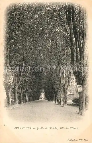 AK / Ansichtskarte Avranches Jardin de l Eveche Allee des Tilleuls Avranches