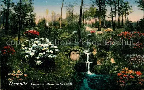 AK / Ansichtskarte Chemnitz Alpenrosen Partie im K?chwald Chemnitz