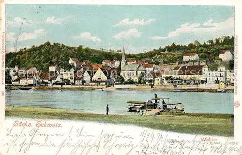 AK / Ansichtskarte Wehlen_Sachsen Flussufer Wehlen_Sachsen