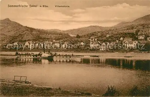 AK / Ansichtskarte Salesl_Salesel_Dolni_Zalezly Uferpartie an der Elbe Dampfer Villenkolonie Salesl_Salesel