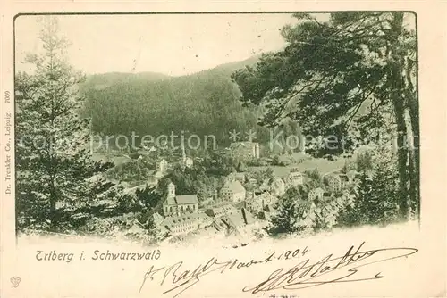 AK / Ansichtskarte Triberg_Schwarzwald  Triberg Schwarzwald