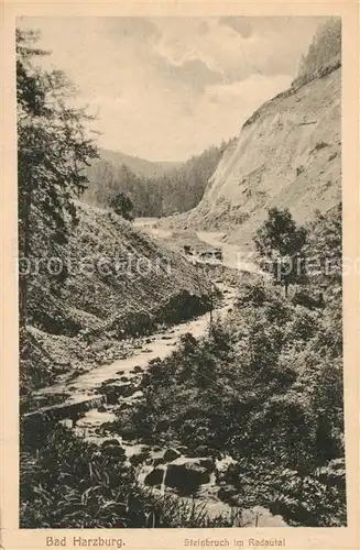 AK / Ansichtskarte Bad_Harzburg Steinbruch im Radautal Bad_Harzburg