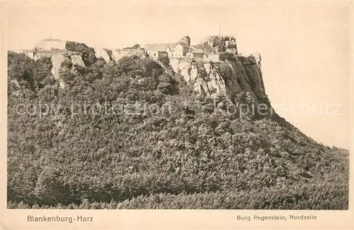 AK / Ansichtskarte Blankenburg_Harz Burg Regenstein Nordseite Blankenburg_Harz