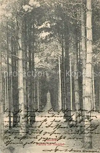 AK / Ansichtskarte Hannover M?nster Partie am Hanloh Hannover