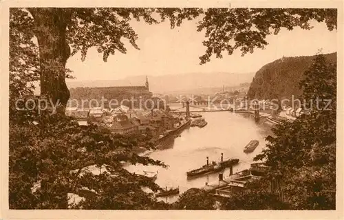 AK / Ansichtskarte Tetschen Bodenbach_Boehmen Panorama Schloss Schaeferwand Tetschen Bodenbach Boehmen