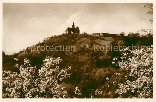 AK / Ansichtskarte Dubitz Kirchlein Elbtal Baumbluete Dubitz
