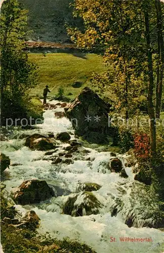 AK / Ansichtskarte Feldberg_Schwarzwald St. Wilhelmertal Feldberg Schwarzwald