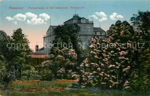 AK / Ansichtskarte Hannover Palmenhaus in Herrenhausen Berggarten Hannover