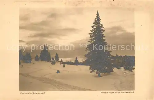 AK / Ansichtskarte Herzogenhorn Feldberg Herzogenhorn