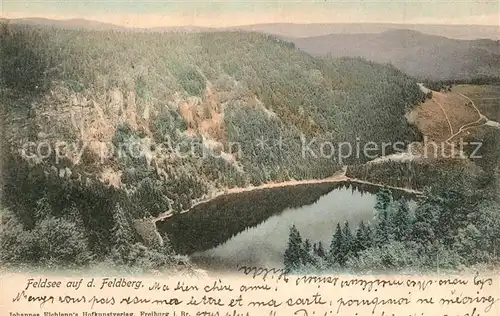 AK / Ansichtskarte Feldberg_Schwarzwald Feldsee Feldberg Schwarzwald