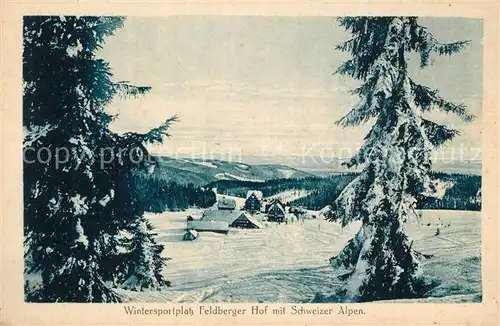 AK / Ansichtskarte Feldberg_Schwarzwald Feldbergerhot mit Alpenkette Feldberg Schwarzwald