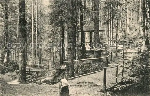 AK / Ansichtskarte Freudenstadt Bismarckruhe im Teuchelwald Freudenstadt