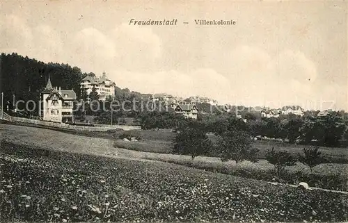AK / Ansichtskarte Freudenstadt Villenkolonie Freudenstadt