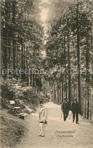 AK / Ansichtskarte Freudenstadt Teucheleweg Freudenstadt