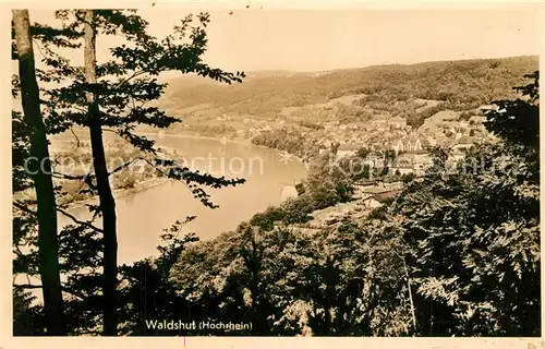 AK / Ansichtskarte Waldshut Tiengen Rheinpartie Waldshut Tiengen