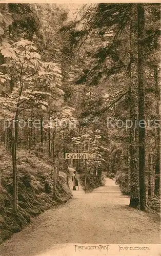 AK / Ansichtskarte Freudenstadt Teuchelesweg Freudenstadt