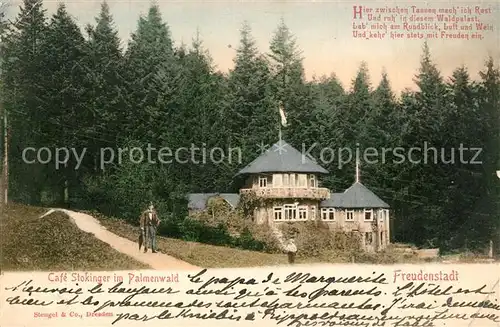 AK / Ansichtskarte Freudenstadt Caf? Stokinger im Palmenwald Freudenstadt