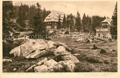 AK / Ansichtskarte Feldberg_Schwarzwald Hotel Pension Hebelhof mit Villa Liseli Feldberg Schwarzwald